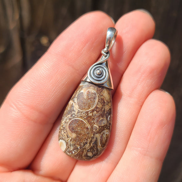 Turritella Agate - USA 925 Pendant