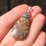 Turritella Agate - USA 925 Pendant