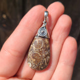 Turritella Agate - USA 925 Pendant