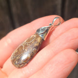 Turritella Agate - USA 925 Pendant