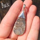 Turritella Agate - USA 925 Pendant