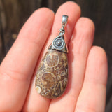 Turritella Agate - USA 925 Pendant