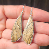 Picture Jasper 925 Earrings