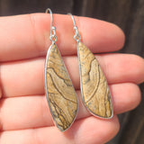 Picture Jasper 925 Earrings