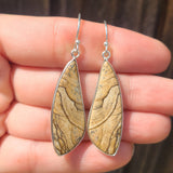 Picture Jasper 925 Earrings