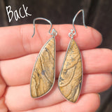 Picture Jasper 925 Earrings