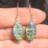 Imperial Opal - Tanzania 925 Earrings