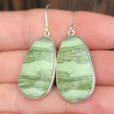 Serpentine 925 Earrings