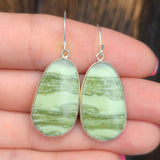 Serpentine 925 Earrings