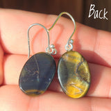 Blue Tiger Eye 925 Earrings