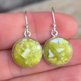 Lizardite Serpentine 925 Earrings