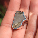 Rare Blue Forest Petrified Wood 925 Ring