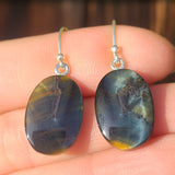 Blue Tiger Eye 925 Earrings