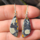 Maligano Jasper - Indonesia 925 Earrings