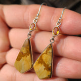 Picture Jasper & Citrine 925 Earrings