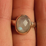 Checker Faceted Rainbow Moonstone - India 925 Ring