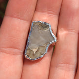Rare Blue Forest Petrified Wood 925 Ring