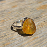 Rough Baltic Amber - Poland 925 Ring