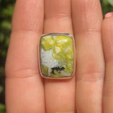 Lizardite 925 Ring