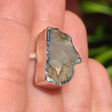 Rare Blue Forest Petrified Wood 925 Ring