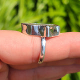 Rare Blue Forest Petrified Wood 925 Ring
