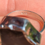 Rare Blue Forest Petrified Wood 925 Ring