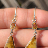Picture Jasper & Citrine 925 Earrings