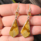 Picture Jasper & Citrine 925 Earrings