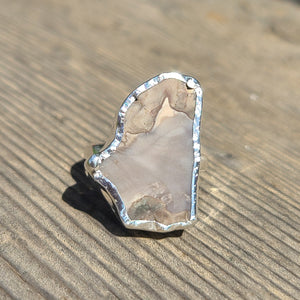 Rare Blue Forest Petrified Wood 925 Ring
