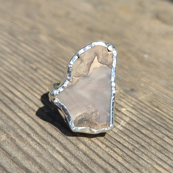 Rare Blue Forest Petrified Wood 925 Ring