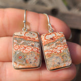 Leopard Skin Jasper 925 Earrings