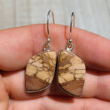Natural Coffee Zebra Jasper 925 Earrings