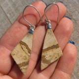 Picture Jasper 925 Earrings