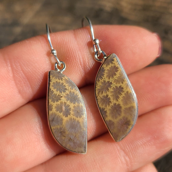 Flower Fossil Coral 925 Earrings