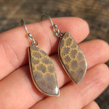 Flower Fossil Coral 925 Earrings