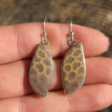 Flower Fossil Coral 925 Earrings