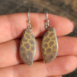 Flower Fossil Coral 925 Earrings