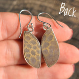 Flower Fossil Coral 925 Earrings